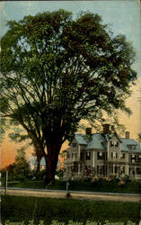 Mary Baker Eddy's Tanorite Elm Concord, NH Postcard Postcard