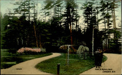 View In Rollin's Park Postcard