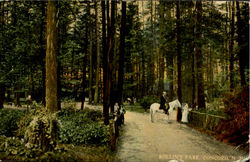 Rollin's Park Postcard