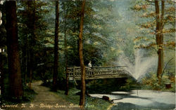 Bridge Scene, Rollins Park Postcard