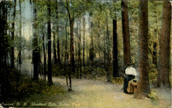 Woodland Path, Rollins Park Concord, NH Postcard Postcard