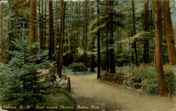 Road Toward Pavilion, Rollins Park Concord, NH Postcard Postcard