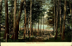 Penacook Park Postcard