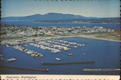 Anacortes, Washington - Bryants Marina, Harbor and Town Postcard