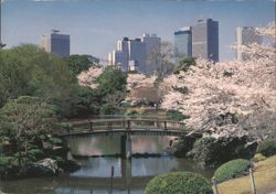 Shinjuku-gyoen National Garden, Tokyo, Japan Postcard