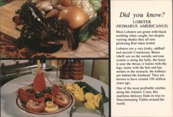 Lobster (Homarus Americanus) with Ingredients and Prepared Dish Postcard