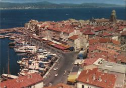 Saint Tropez Harbor View Postcard