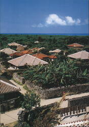 Village Houses surrounded by walls of coral on Taketomi Island Postcard