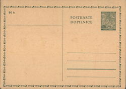 Blank Postcard with 60h and Decorative Border Postcard