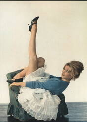 Brigitte Bardot Pin-Up Postcard