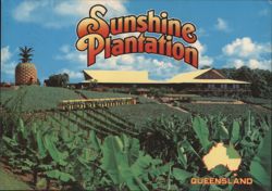 Sunshine Plantation Near Nambour, Queensland, Australia Postcard