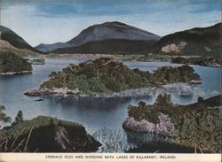 Dear Dr. Abbott Emerald Isles and Winding Bays, Lakes of Killarney Postcard