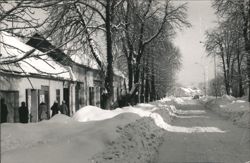 Slavon. Orahovica Winter Street Scene Postcard