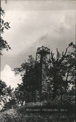 Construction of Lookout Tower, Gorjanci - Trdinov Vrh Postcard