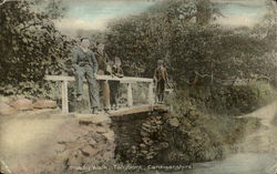 Shady Walk, Talybont Postcard