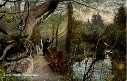 Lover's walk,rouke Glen Postcard