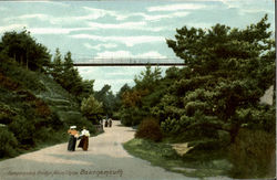 Suspension Bridge Alum Chine Bouremouth, England Postcard Postcard