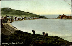 Peel Bay & Castle.I.O.M Postcard