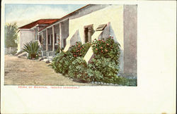 Home Of Ramona Postcard