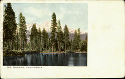 Mt. Shasta Mount Shasta, CA Postcard Postcard