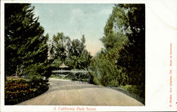 A California Park Scene Postcard