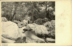 Creek In Alum Rock Park San Jose, CA Postcard Postcard