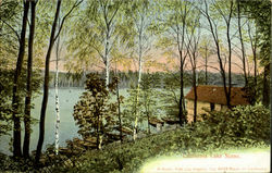 California Lake Scene Scenic, CA Postcard Postcard