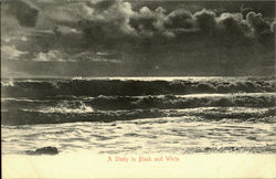 A Study In Black And White Scenic, CA Postcard Postcard