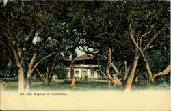 An Oak Avenue Scenic, CA Postcard Postcard