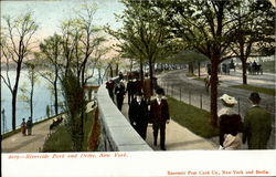 Riverside Park And Drive Postcard