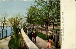 Riverside Park And Drive New York, NY Postcard Postcard