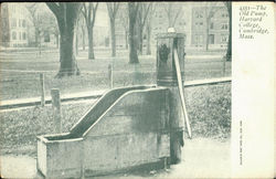 The Old Pump, Harvard College Postcard