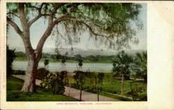 Lake Merritt Oakland, CA Postcard Postcard