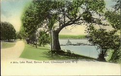 Lake Road, Bemus Point Chautauqua Lake, NY Postcard Postcard