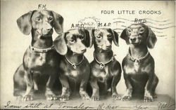 Four Little Crooks Daschunds Postcard