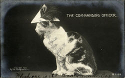 The Commanding Officer Cats Postcard Postcard