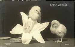 Early Visitors Postcard