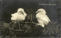 Playing At See-Saw Postcard