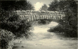 Rustic Bridge To First Sister Island Postcard