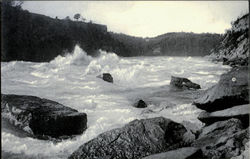 Whirlpool Rapids Postcard