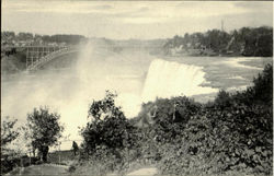 American Falls From Hill On Goat Island Postcard