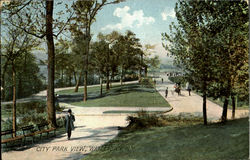 City Park View Postcard