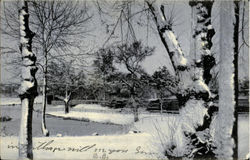 Winter in Carthage Postcard