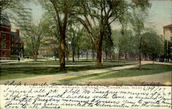 College Yard, Harvard University Postcard