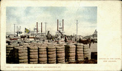 Cotton On The Levee Postcard