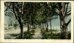 Lovers Lane Capitola, CA Postcard Postcard