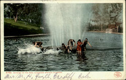 Bathing In The Pool Postcard