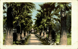 The Park Long Beach, CA Postcard Postcard