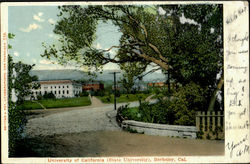 University Of California Berkeley, CA Postcard Postcard