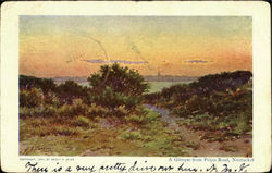 A Glimpse, Polpis Road Nantucket, MA Postcard Postcard